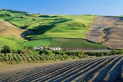 Agronegócio movimenta vários setores da economia, inclusive o mercado imobiliário