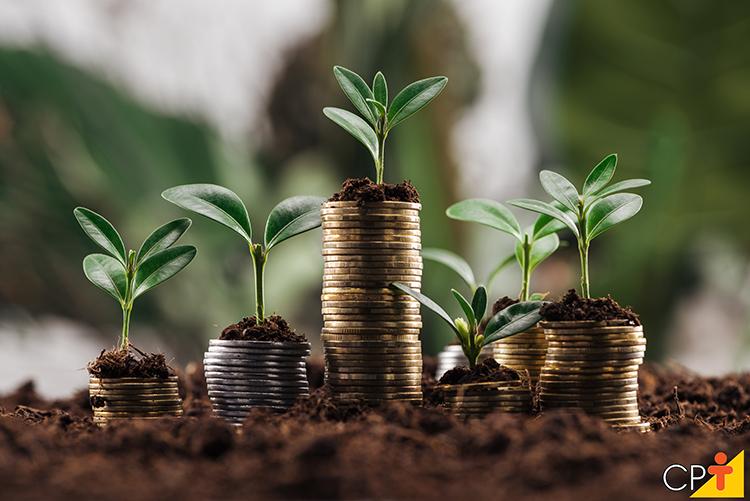 Como ganhar dinheiro com minha propriedade rural?