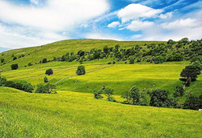 Imposto sobre venda de imóvel rural pode dispensar documento com valor da 'terra nua'