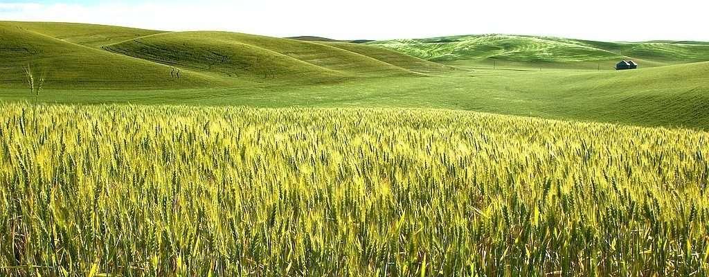 O que você precisa saber antes de comprar terras na Argentina