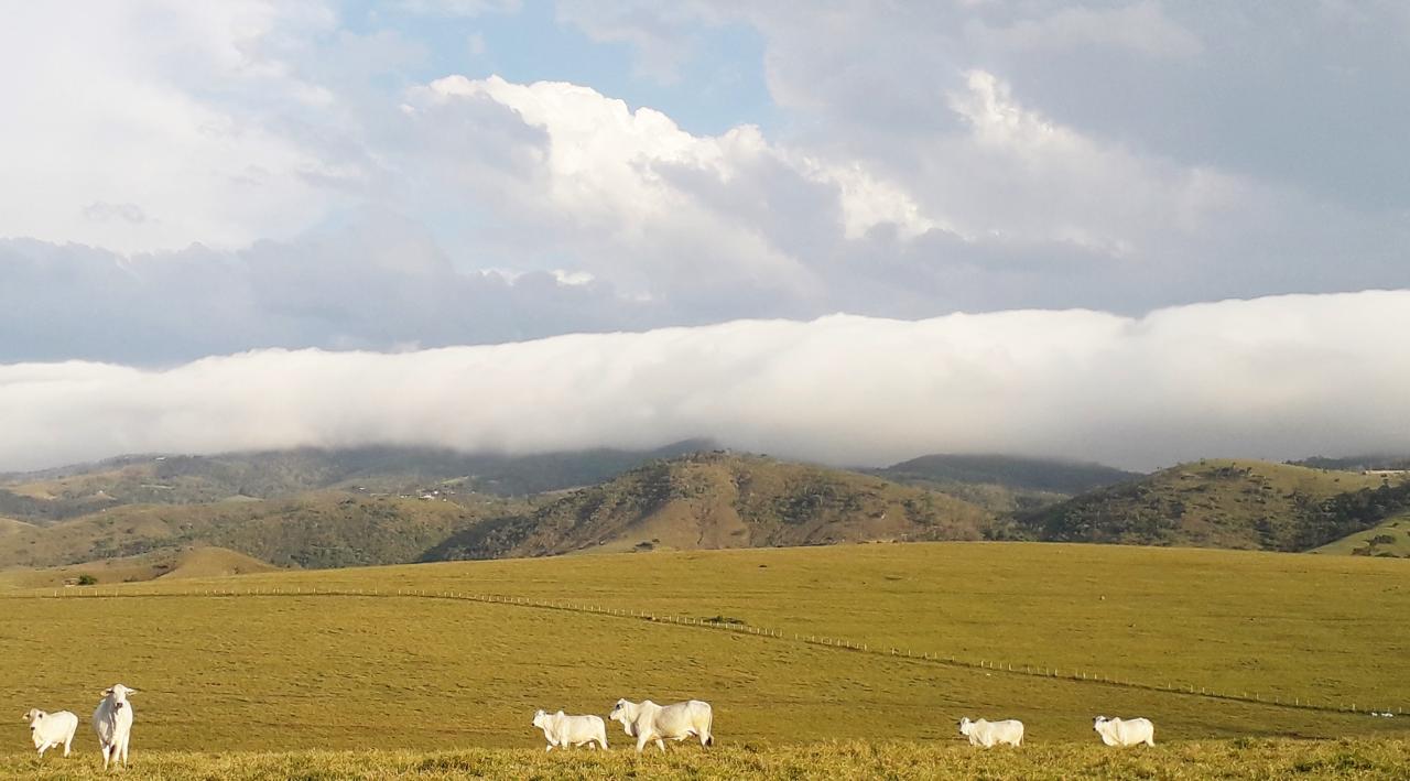 Área residencial, Caçapava, 4.000.000m², SOMENTE VENDA, excelente local