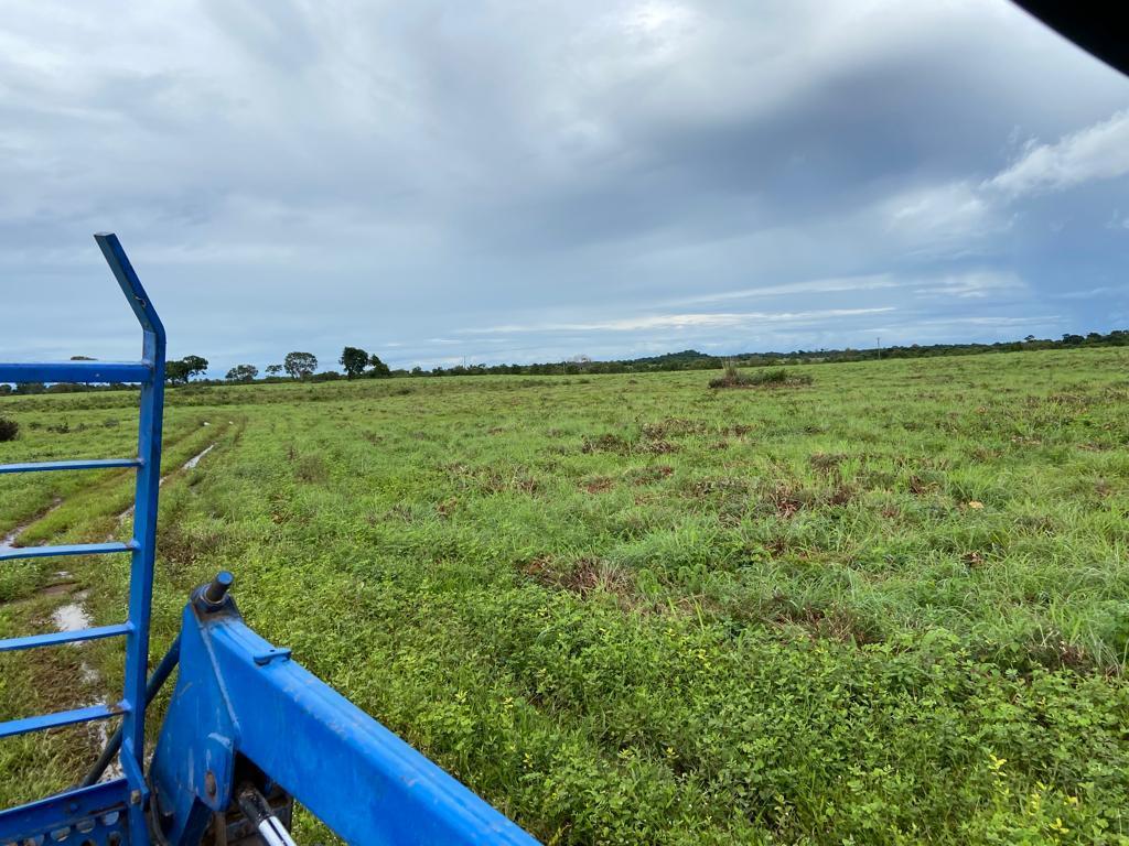 Fazenda na região em Goiás, dupla aptidão, 3.182 hectares