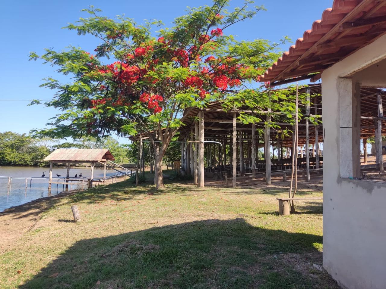 Sítio à venda em Conchas, 22 alqueires, com muita água, barracão, arrendamento