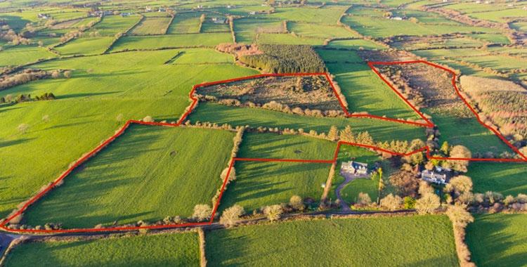 Desmembramento de Propriedade Rural: Um Guia Passo a Passo
