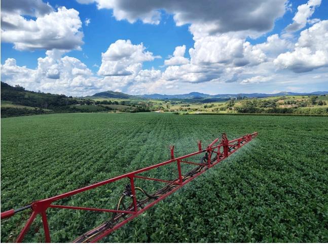 Oportunidade Rara em Serra Negra: Fazenda com 488 Hectares Une Alta Produtividade e Charme Colonial
