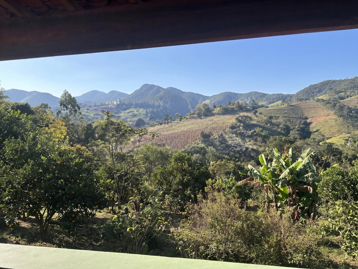 Oportunidade em Tapiraí: Sítio de 9,5 Alqueires com Infraestrutura Completa e Natureza Exuberante