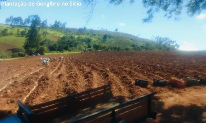 O Refúgio Perfeito nas Alturas: Sítio de 17 Hectares em Tapiraí une Natureza Intocada, História e Alto Padrão