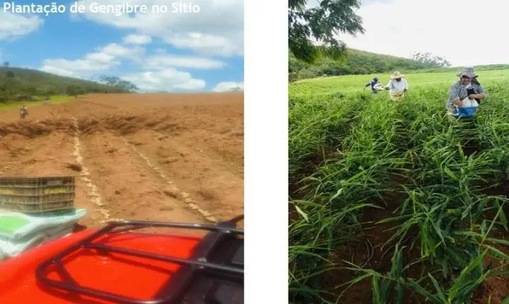 O Refúgio Perfeito nas Alturas: Sítio de 17 Hectares em Tapiraí une Natureza Intocada, História e Alto Padrão